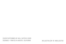 Load image into Gallery viewer, Floral Still Life 01 - 4x6 Inch Postcard