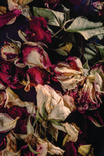 Load image into Gallery viewer, Floral Still Life 01 - 4x6 Inch Postcard
