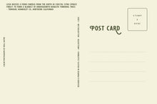 Load image into Gallery viewer, Sitka Spruce - 4x6 Inch Postcard