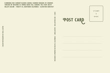 Load image into Gallery viewer, Burn Scar Flowers - 4x6 Inch Postcard